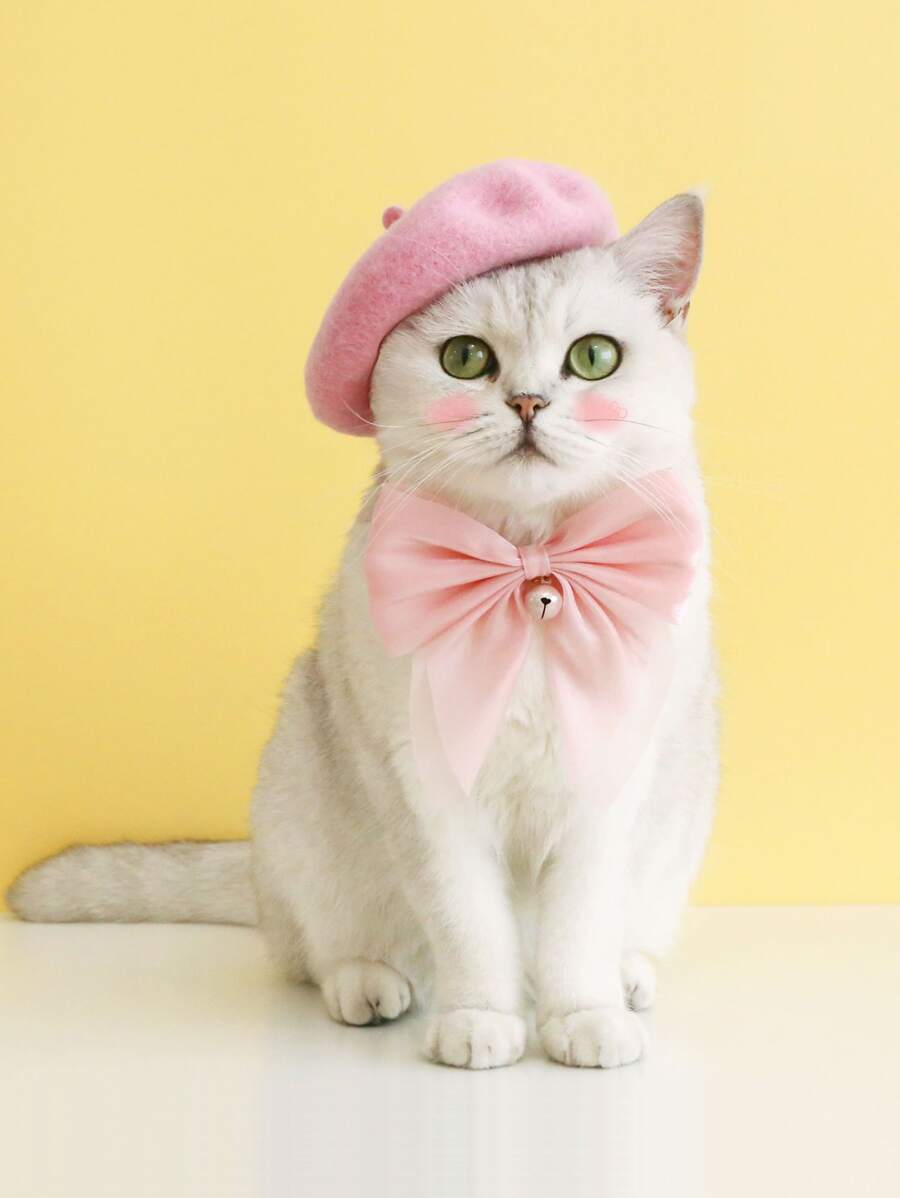 2pcs Solid Pet Beret & Bow - Pink - View 1
