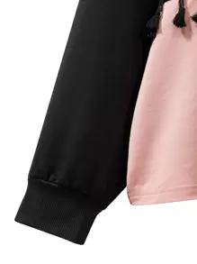 Plus Size Two Tone Fringe Trim Drop Shoulder Sweatshirt - Multicolor - View 5