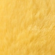 Màu vàng