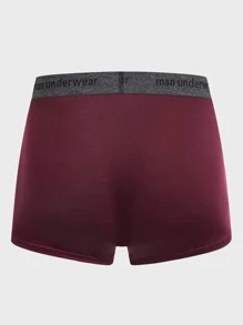 SHEIN Extended Sizes Men 3pcs Letter Tape Boxer Brief - Multicolor - View 2