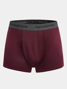 SHEIN Extended Sizes Men 3pcs Letter Tape Boxer Brief - Multicolor - View 7