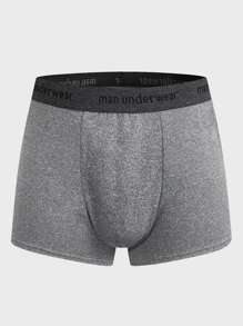 SHEIN Extended Sizes Men 3pcs Letter Tape Boxer Brief - Multicolor - View 8