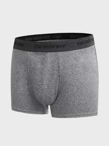 SHEIN Extended Sizes Men 3pcs Letter Tape Boxer Brief - Multicolor - View 10