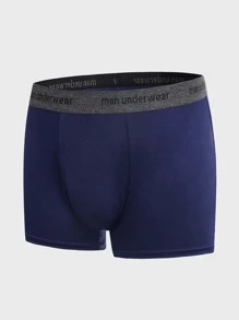 SHEIN Extended Sizes Men 3pcs Letter Tape Boxer Brief - Multicolor - View 11