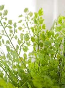 人造绿植家居装饰，创意人造绿植，适用于客厅、办公室装饰，逼真盆栽 - 綠色 - 查看 4