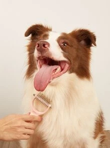 1 pieza Cepillo de pelo para mascota de color al azar - Multicolor - Ver 2