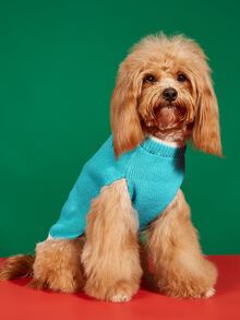 1 Miếng Xanh Khăn quàng cổ Người tuyết Thiết kế Đúng mốt Ấm áp Giáng sinh Mùa Đông Áo len thú cưng Trang phục Đối với Mèo Và Chó , Vàng Và - Nhiều màu - Xem 5