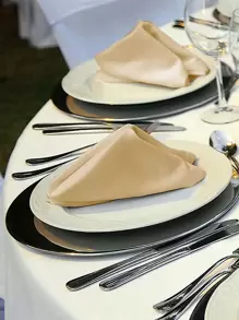6pcs-43*43cm Solid Color Dinner Napkins, Table Napkins, Tablecloth, Square Napkins - Champagne - View 5