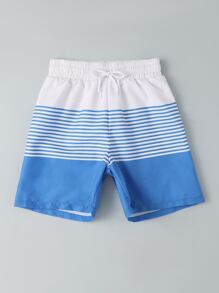 Boys Striped Drawstring Waist Swim Shorts - Blue and White - View 5