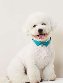 UFBemo 1pc Stitch Detail Pet Collar - Mint Green - View 2