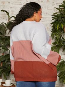 SHEIN CURVE+ Plus Colour Block Drop Shoulder Jumper - Multicolor - View 2