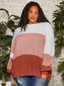 SHEIN CURVE+ Plus Colour Block Drop Shoulder Jumper - Multicolor - View 5