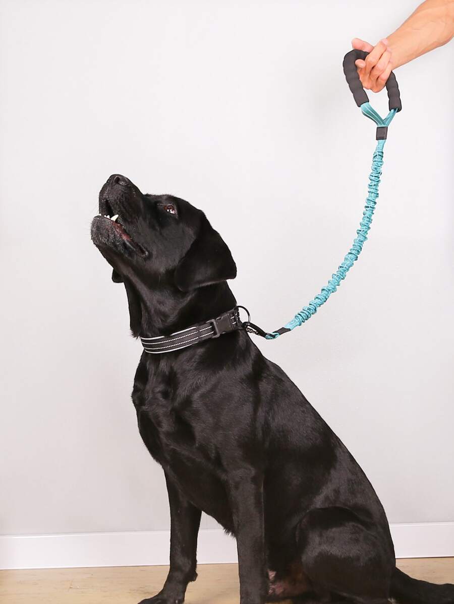 1 pieza Correa de mascota de dos tonos - Azul - Ver 1