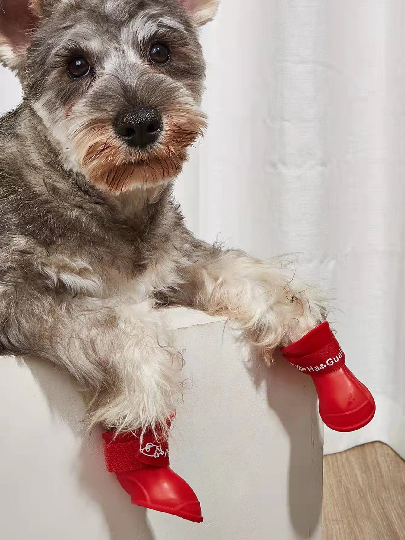 4pcs Letter Graphic Pet Rain Boots