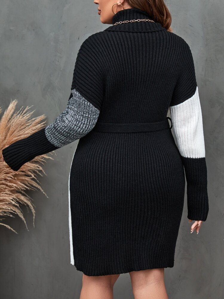 Plus Colorblock Drop Shoulder Turtle Neck Belted Sweater Dress, For Winter Fall Cloth For Women