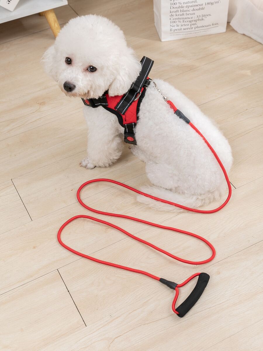 1 pieza Correa de mascota de dos tonos - Rojo - Ver 1