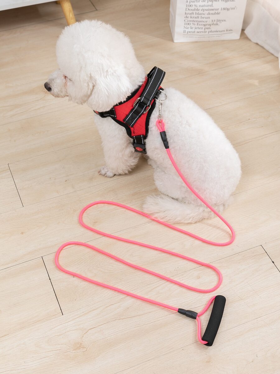 1 pieza Correa de mascota de dos tonos - Rosa - Ver 1