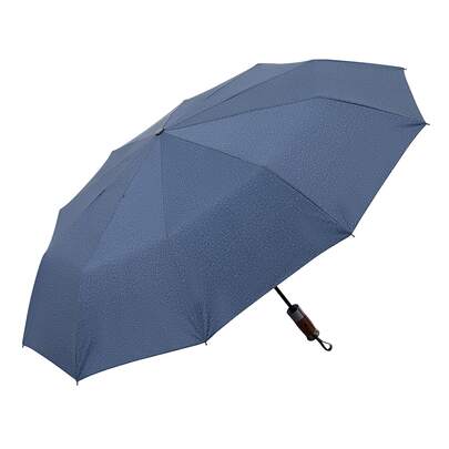 1pc Plain Automatic Umbrella