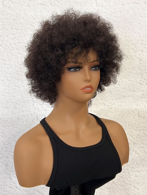 Short Curly Afro Synthetic Wig With Bang 100 Human Hair Wig For Women