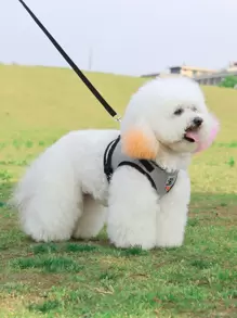 1pc Cartoon Paw Print Pet Harness - Black - View 2