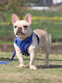 1 Set Arnés Para Pecho Y Espalda Para Mascotas, Arnés Para Gatos Y Perros De Estilo Chaleco Reflectante Y Transpirable Con Correa Adecuado Para Mascotas Pequeñas Y Medianas, Ideal Para Actividades Al Aire Libre - Azul - Ver 4