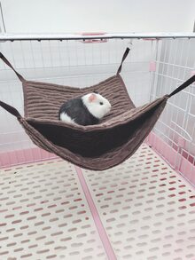 1pc Plush Hanging Pet Bed - Coffee Brown - View 5