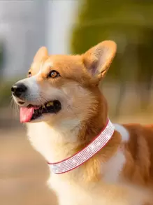 1 vòng cổ thú cưng trang trí bằng kim cương giả cho chó và mèo ngoài trời - Xem 3