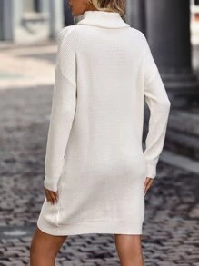 Turtleneck Drop Pointelle Knit Shoulder Jumper Dress - Beige - View 2
