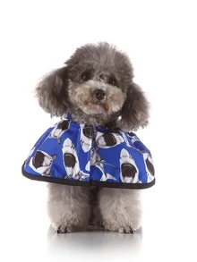 1pc Shark Print Hooded Pet Raincoat - Blue - View 4