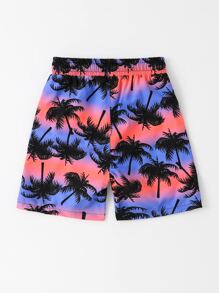 Boys Coconut Tree Print Swim Shorts - Multicolor - View 2