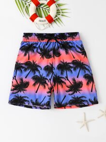 Boys Coconut Tree Print Swim Shorts - Multicolor - View 5