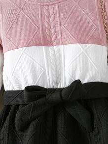 Toddler Girls Colourblock Mock Neck Belted Dress - Multicolor - View 5