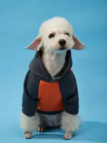 PETSIN 1入組卡通熊圖案寵物連帽衫 - 彩色 - 查看 3