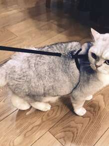 1pc Release Buckle Detail Cat Leash - Black - View 3