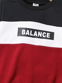 SHEIN Toddler Boys Letter Graphic Colourblock Sweatshirt & Joggers - Multicolor - View 4