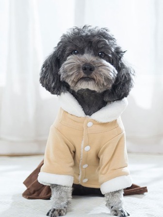 1pc Crown Patch Decor Pet Dress