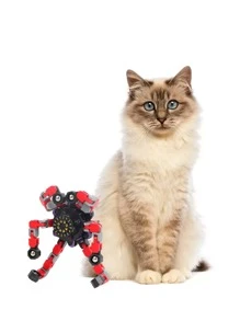 1 cái Màu Sắc Ngẫu Nhiên Đầu Ngón Tay Spinner Thiết Kế Cat Teaser Đồ Chơi - Nhiều màu - Xem 4