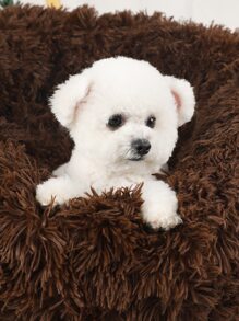 1pc Solid Plush Pet Bed - Coffee Brown - View 6