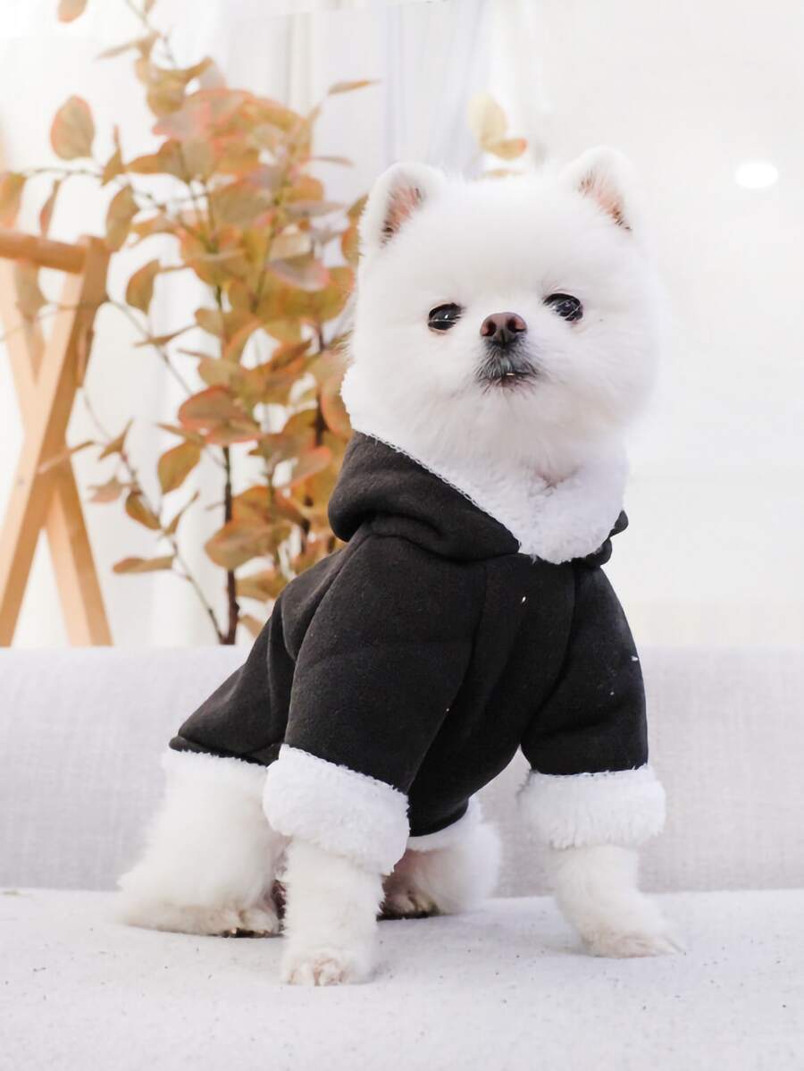 1pc Two Tone Pet Hoodie - Black - View 1