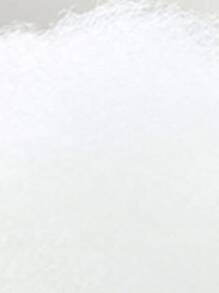 1 Pieza Cama Para Mascotas Con Forma De Pata De Perro De Terciopelo De Cordero