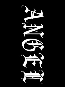 SHEIN Coolane Wings & Letter Graphic Drawstring Thermal Lined Hoodie - Black - View 3