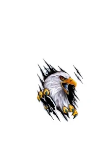 Eagle Print Car Sticker - Multicolor - View 3