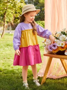 SHEIN Toddler Girls Colourblock Frill Trim Ruffle Hem Smock Dress - Multicolor - View 6