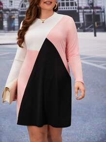 SHEIN LUNE Plus Colorblock Tee Dress - Multicolor - View 3