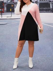 SHEIN LUNE Plus Colorblock Tee Dress - Multicolor - View 4
