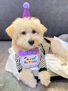 1入組絨球裝飾寵物帽子和1入組標語繡花寵物圍兜 - 紫色 - 查看 5