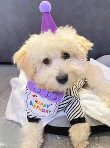 1入組絨球裝飾寵物帽子和1入組標語繡花寵物圍兜 - 紫色 - 查看 6