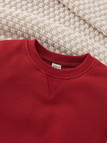 Baby Boy Solid Round Neck Sweatshirt - Burgundy - View 5