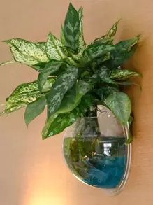 1pc Clear Wall Mounted Plant Pot, Simple Plastic Hanging Plant Container For Household