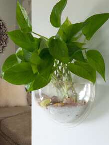 1pc Clear Wall Mounted Plant Pot, Simple Plastic Hanging Plant Container For Household